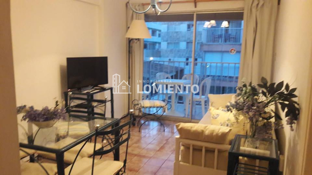 Apartamento ID.103 - Alquiler temporada- invierno apartamento 1 dormitorio en Peninsula