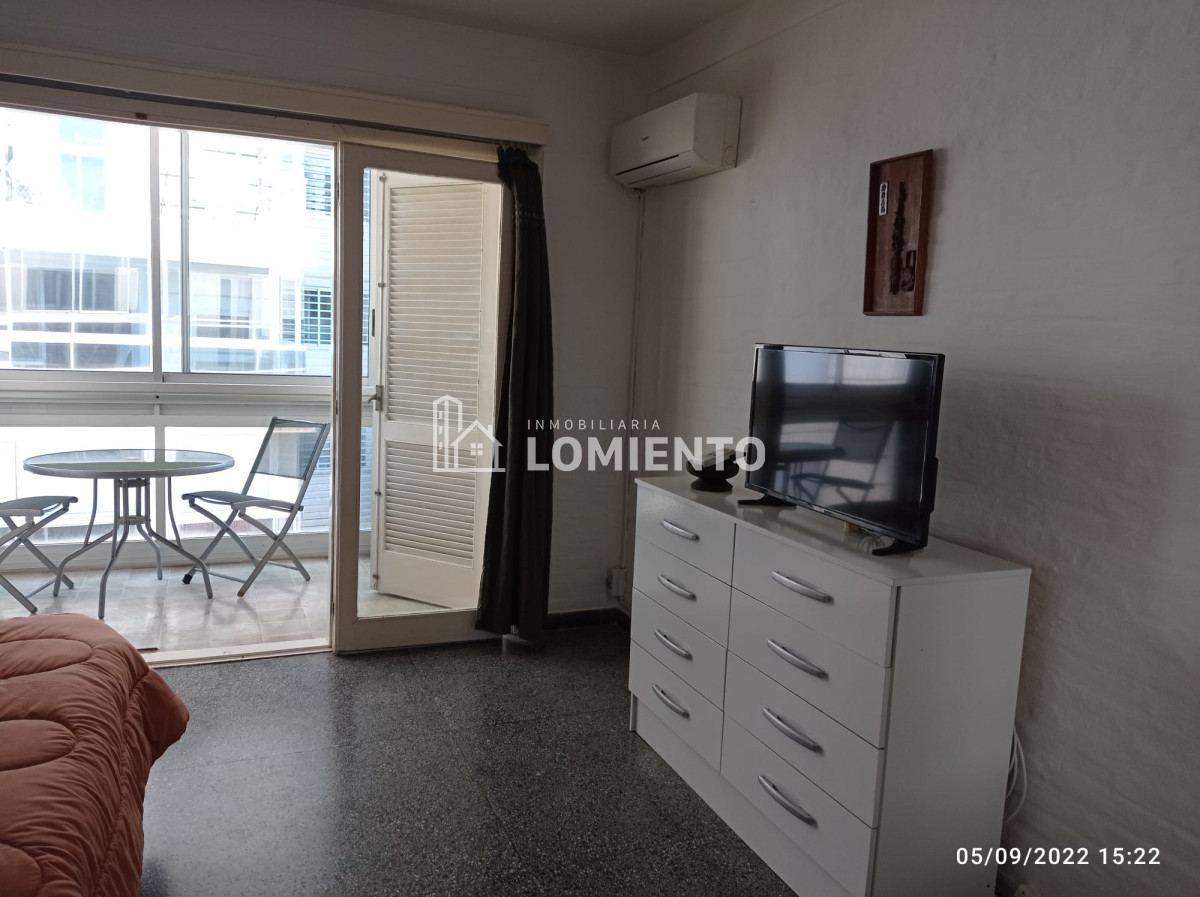 Apartamento ID.1335 - Alquiler anual- temporada apartamento 1 dormitorio Playa Brava