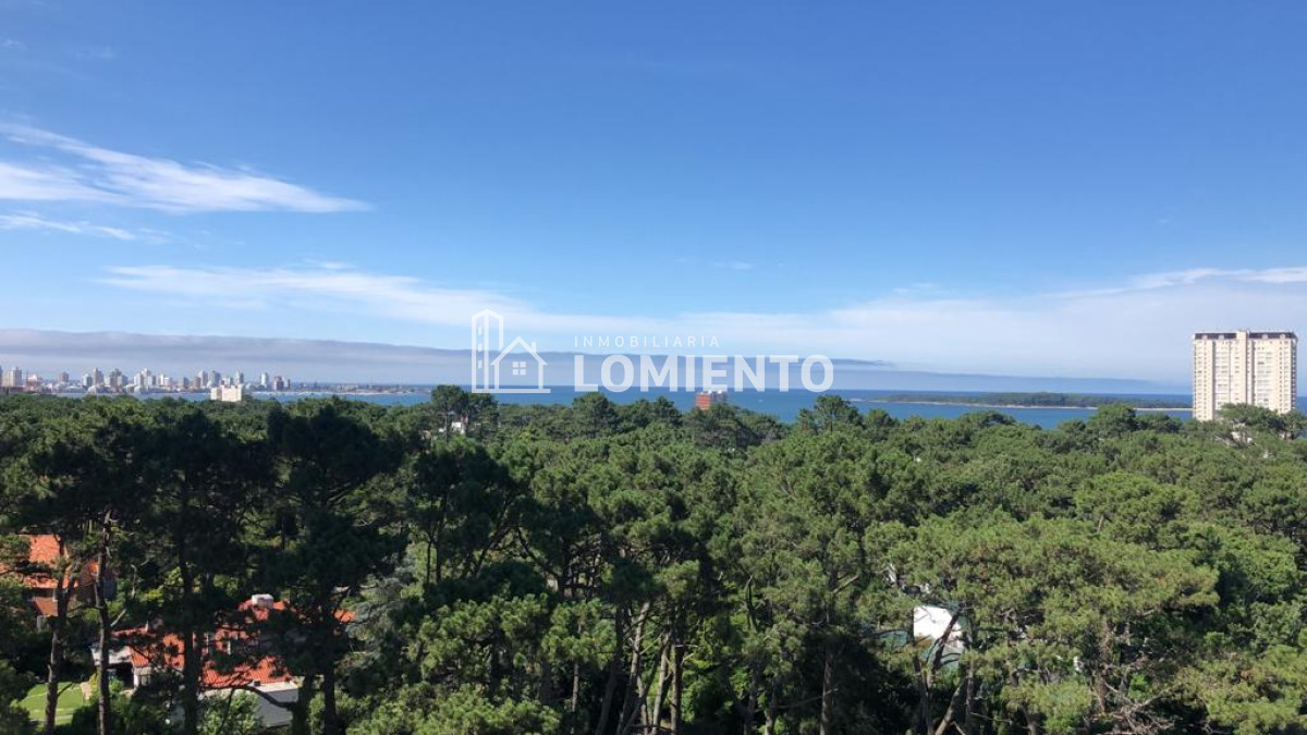 Apartamento ID.880 - Alquiler temporada apartamento 2 dormitorios Acapulco Roosevelt 