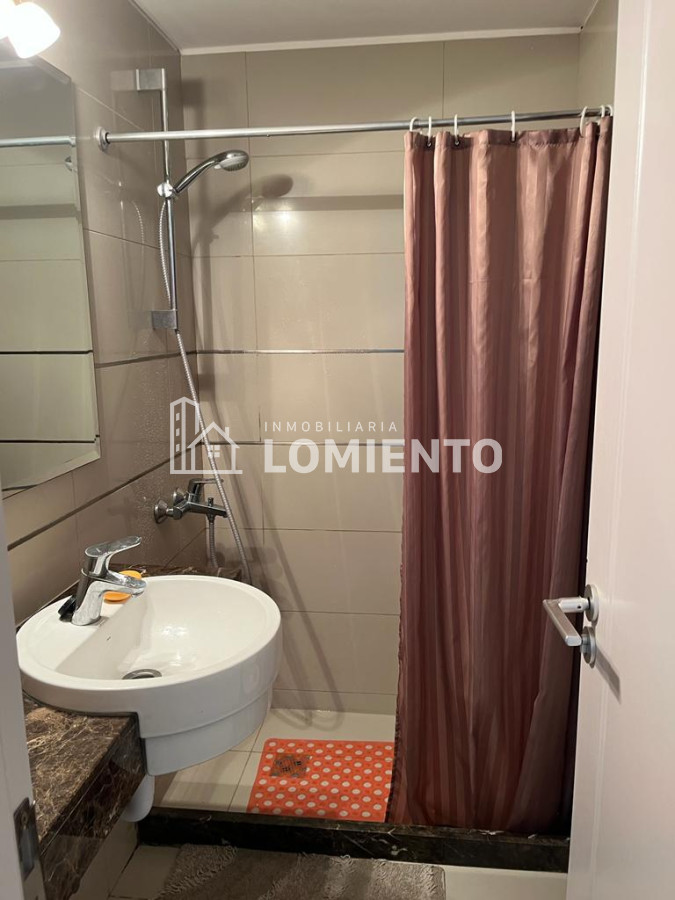 Apartamento ID.1429 - Alquiler temporada apartamento 1 dormitorio en Peninsula 