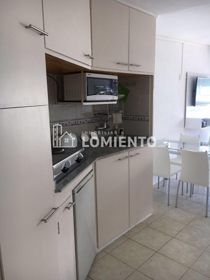 Apartamento ID.1481 - Alquiler temporada apartamento 1 dormitorio Peninsula 