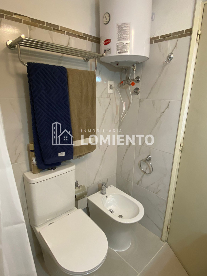 Apartamento ID.1590 - Alquiler temporada apartamento 1 dormitorio Zona Peninsula 