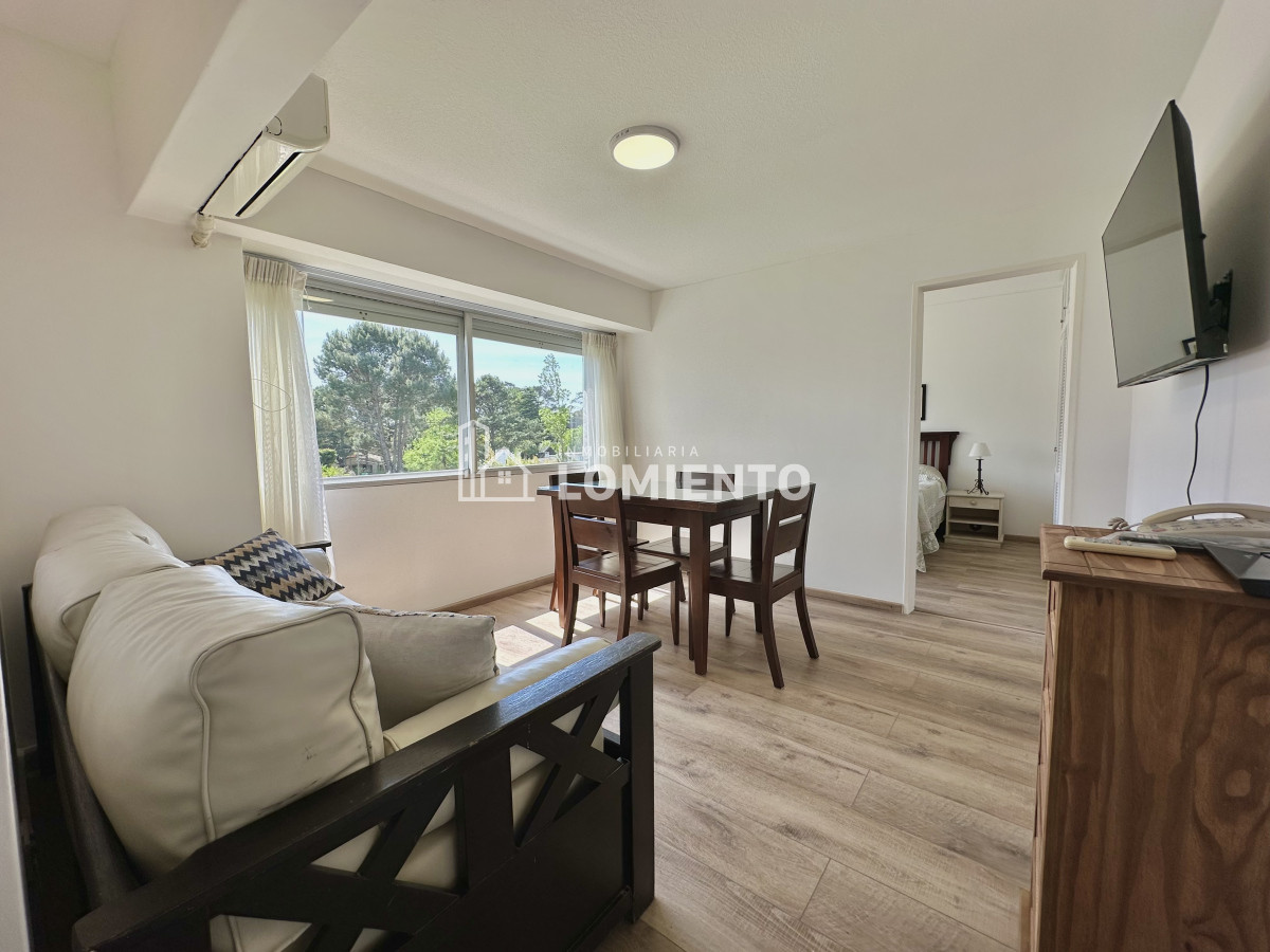 Apartamento ID.299 - Alquiler temporada apartamento 1 dormitorio Zona Roosevelt