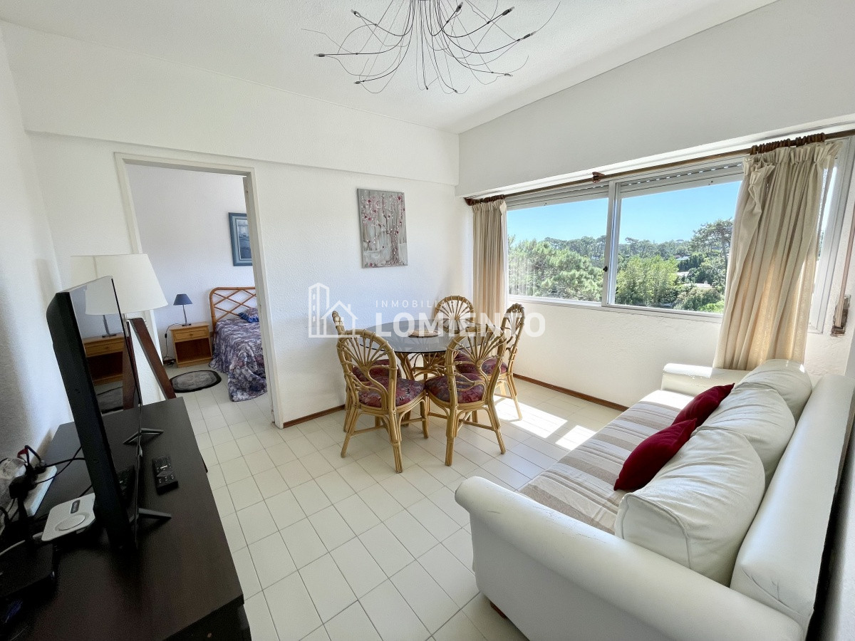 Apartamento ID.7 - Alquiler invierno- temporada apartamento 1 dormitorio zona Roosevelt