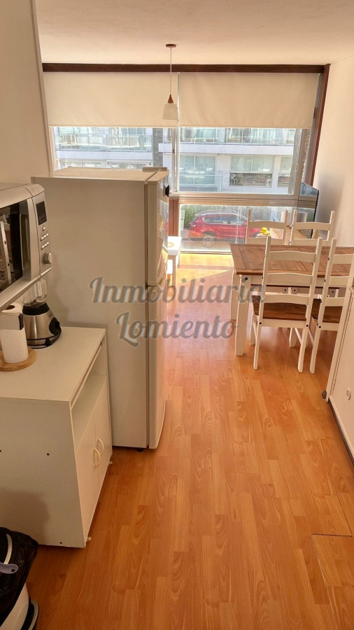 Apartamento ID.1428 - Alquiler temporada apartamento 1 dormitorio en Peninsula