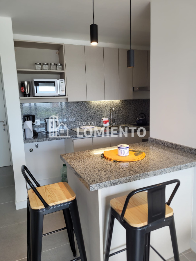 Apartamento ID.1465 - Venta- Alquiler temporada apartamento monoambiente Edificio View