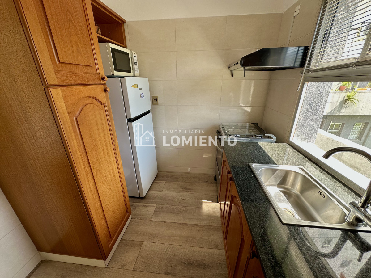 Apartamento ID.299 - Alquiler temporada apartamento 1 dormitorio Zona Roosevelt