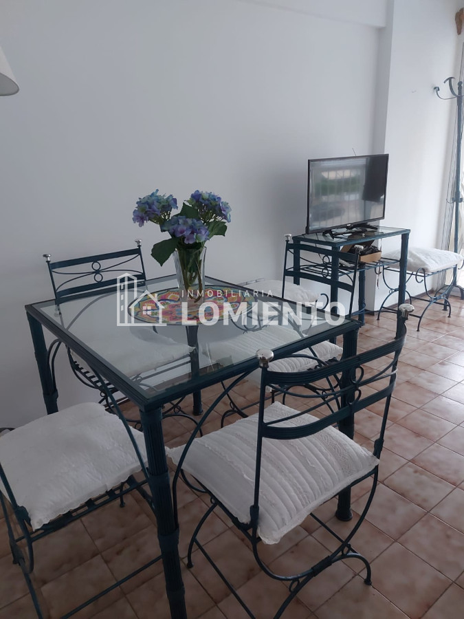 Apartamento ID.103 - Alquiler temporada- invierno apartamento 1 dormitorio en Peninsula