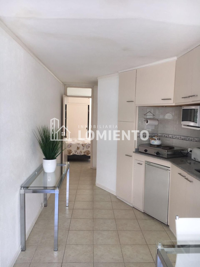 Apartamento ID.1481 - Alquiler temporada apartamento 1 dormitorio Peninsula 