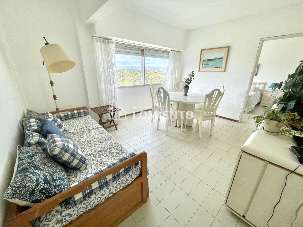 Apartamento ID.104 - Alquiler temporada apartamento 1 dormitorio zona Roosevelt