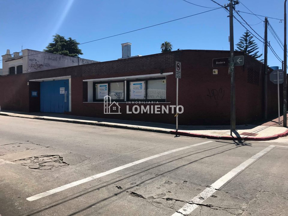 Local Comercial ID.666 - Alquiler anual local Centro de Maldonado