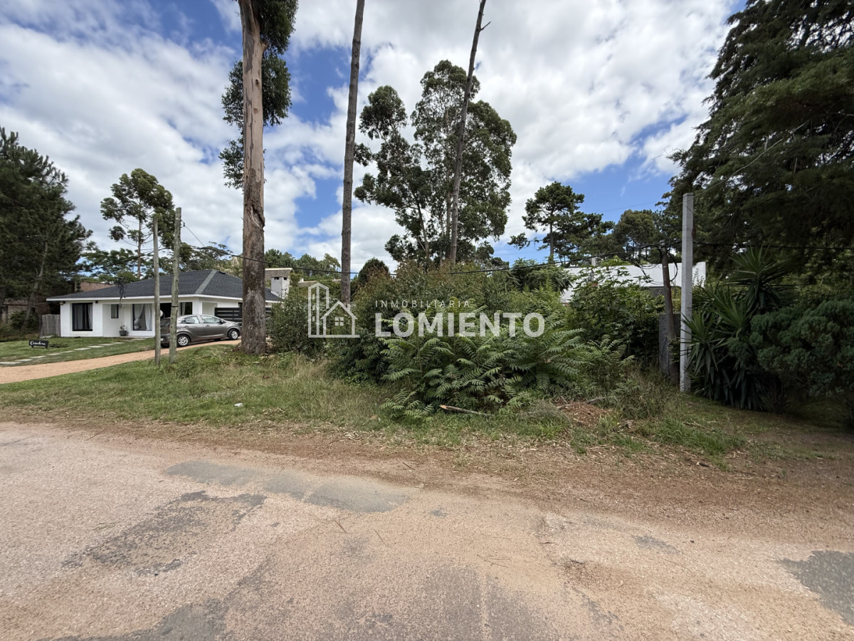Terreno ID.1781 - Gran Oportunidad Venta Terreno en Barrio Pinares- Punta del Este 
