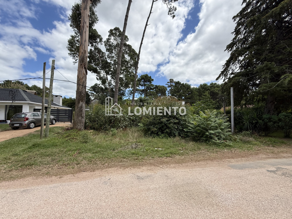 Terreno ID.1781 - Gran Oportunidad Venta Terreno en Barrio Pinares- Punta del Este 