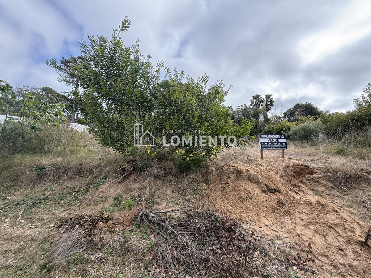 Terreno ID.1520 - Venta de Gran terreno en Rincon del Indio