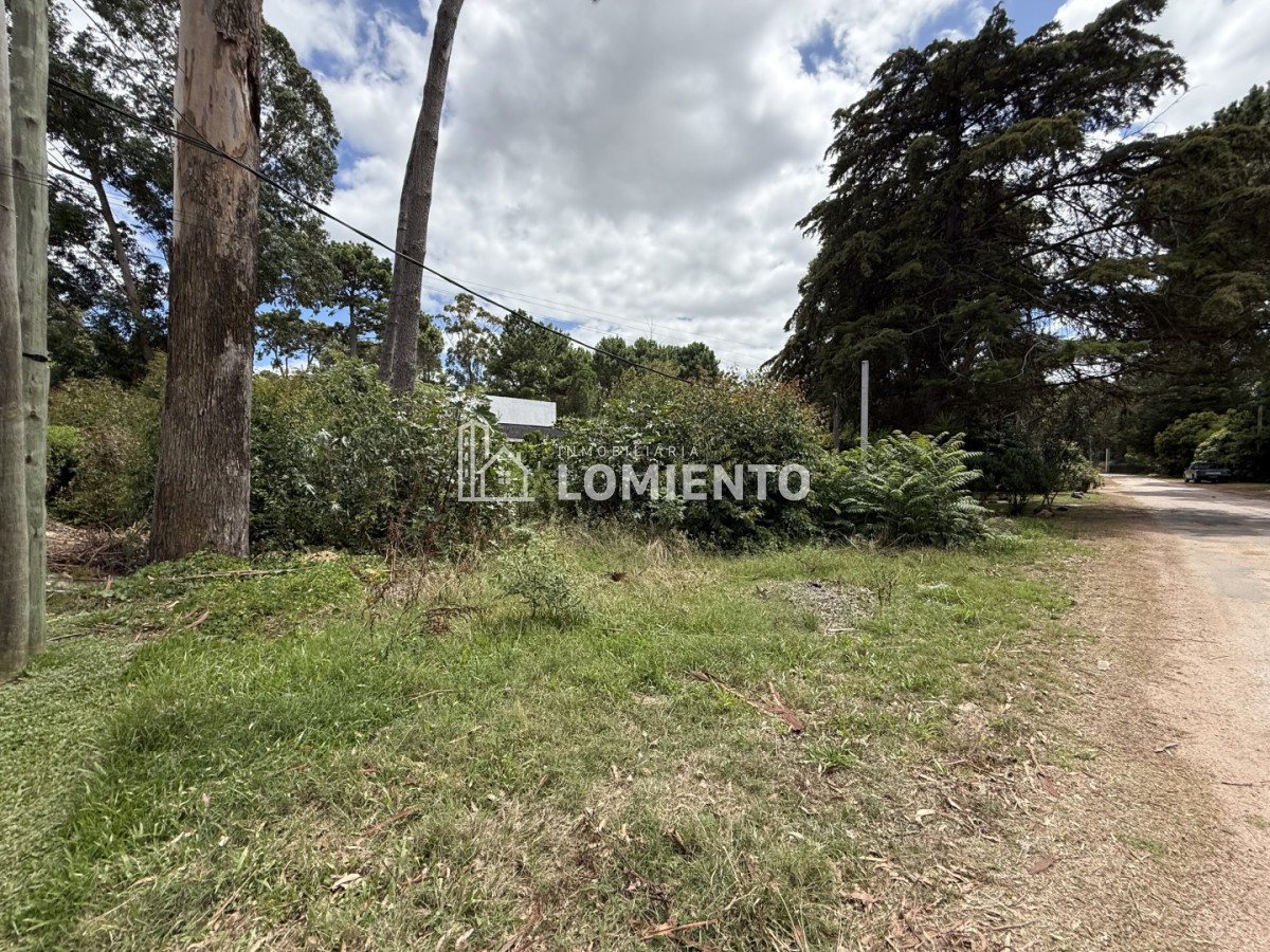 Terreno ID.1781 - Gran Oportunidad Venta Terreno en Barrio Pinares- Punta del Este 