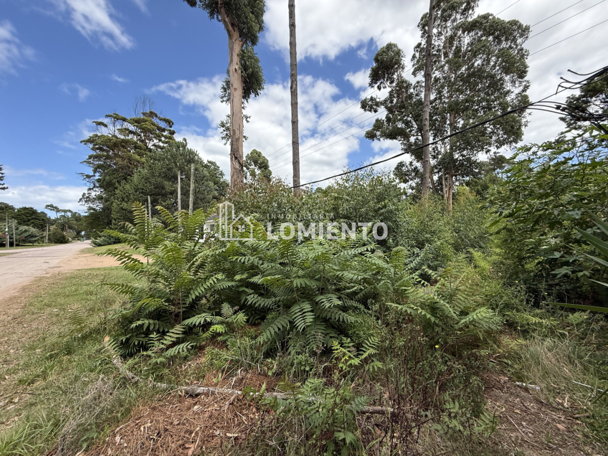 Terreno ID.1781 - Gran Oportunidad Venta Terreno en Barrio Pinares- Punta del Este 