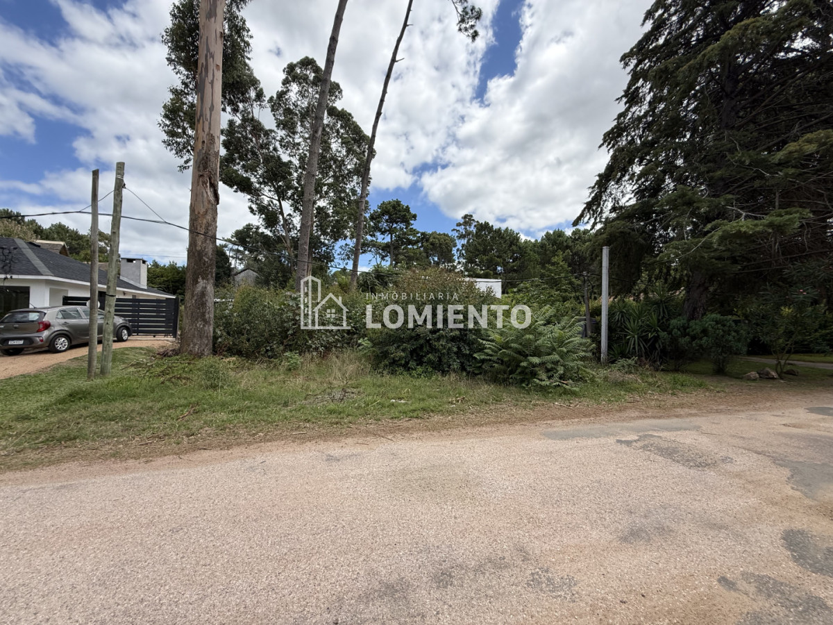 Terreno ID.1781 - Gran Oportunidad Venta Terreno en Barrio Pinares- Punta del Este 