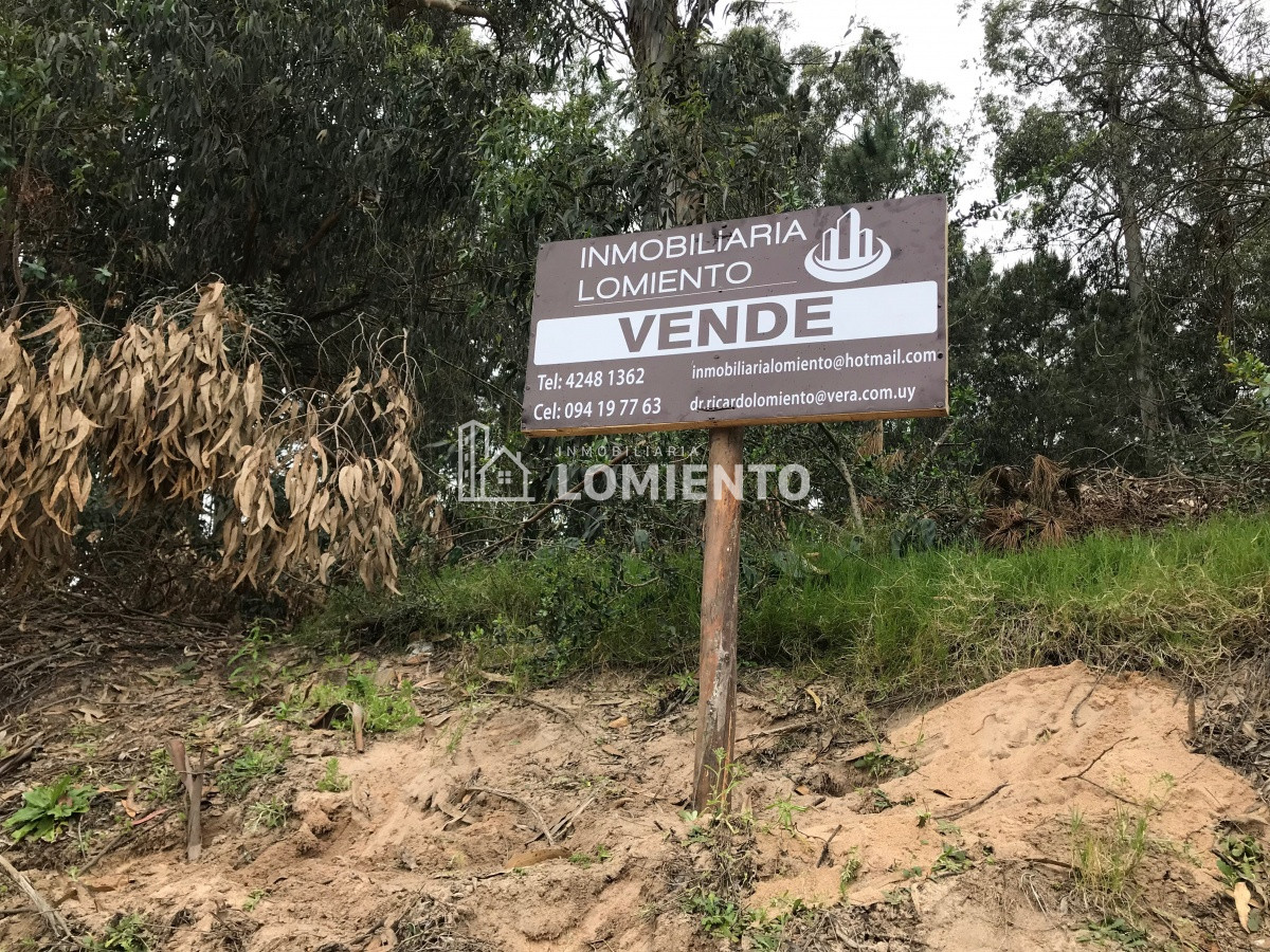 Terreno ID.781 - Venta Terreno Ocean Park