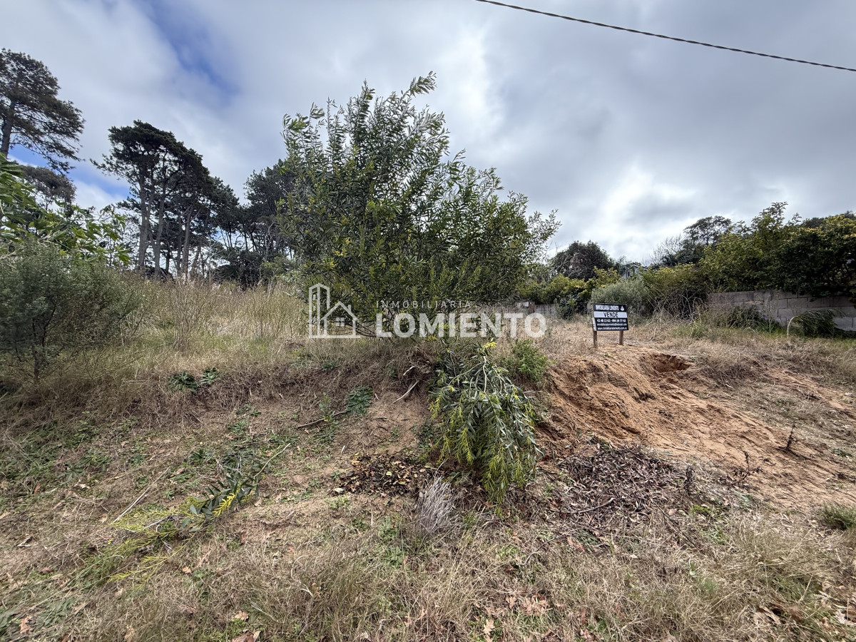 Terreno ID.1520 - Venta de Gran terreno en Rincon del Indio