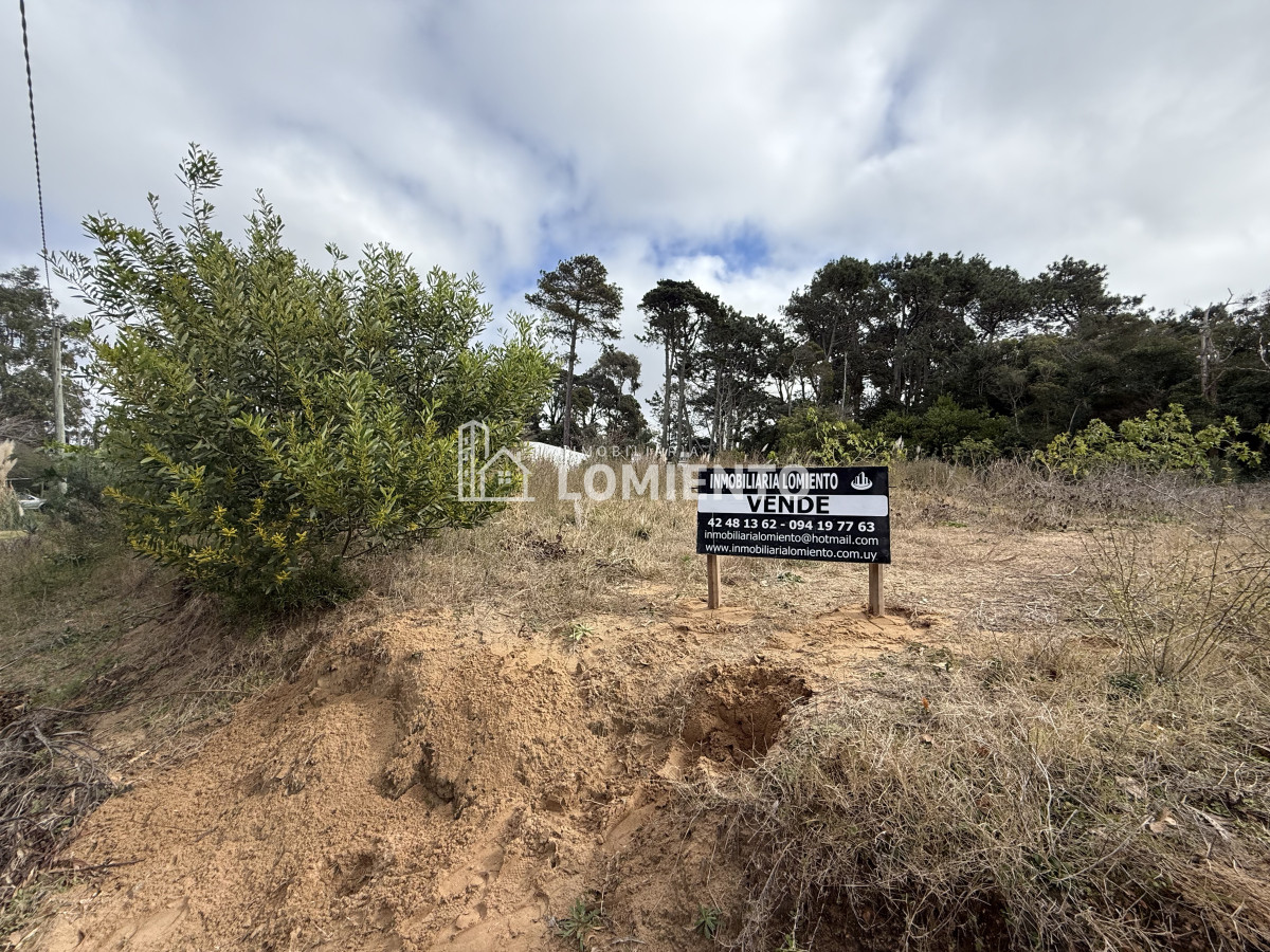 Terreno ID.1520 - Venta de Gran terreno en Rincon del Indio
