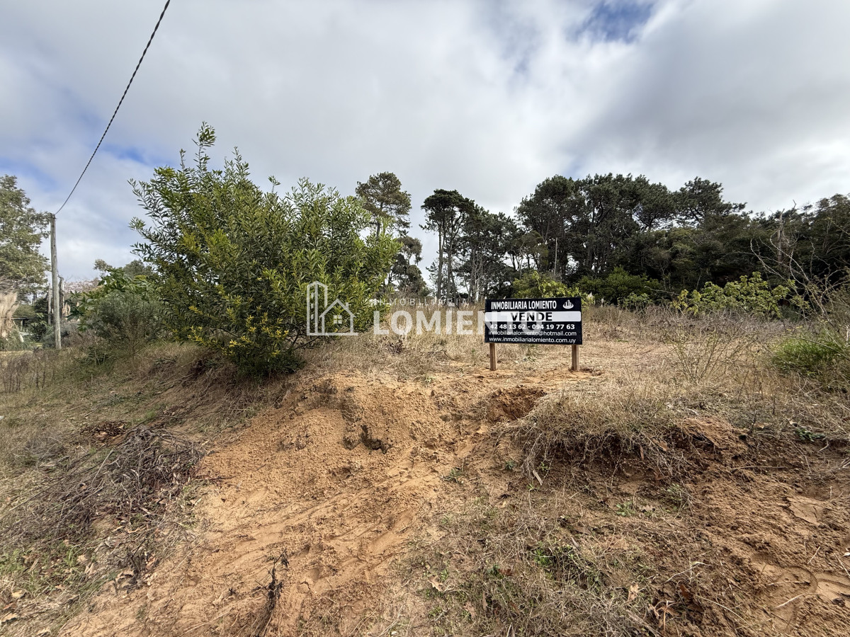 Terreno ID.1520 - Venta de Gran terreno en Rincon del Indio