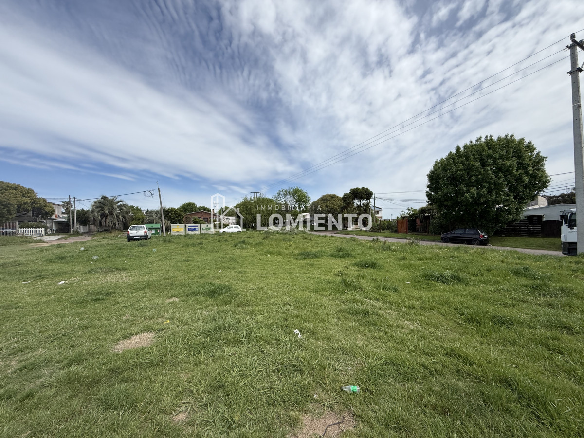 Terreno ID.591 - Gran terreno en venta proximo a Av. Lussich