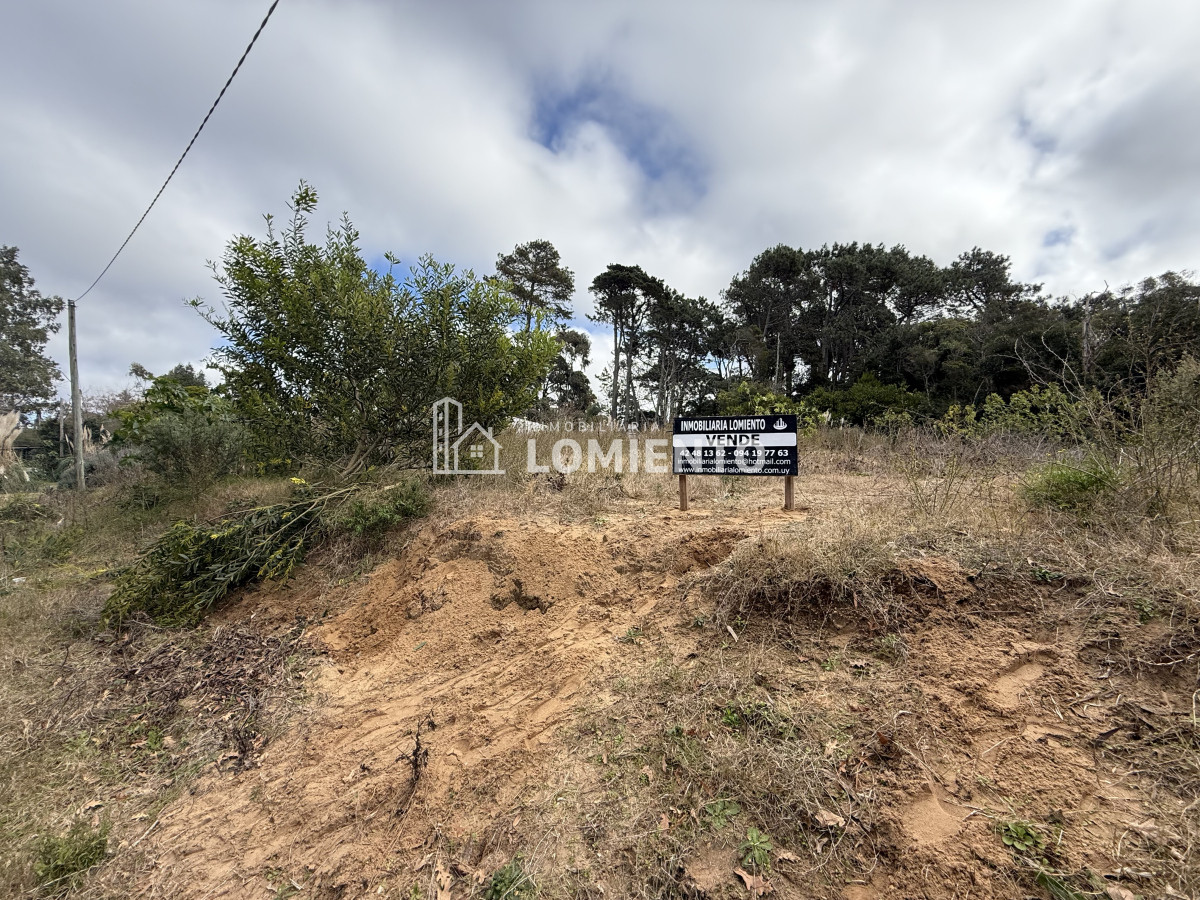 Terreno ID.1520 - Venta de Gran terreno en Rincon del Indio