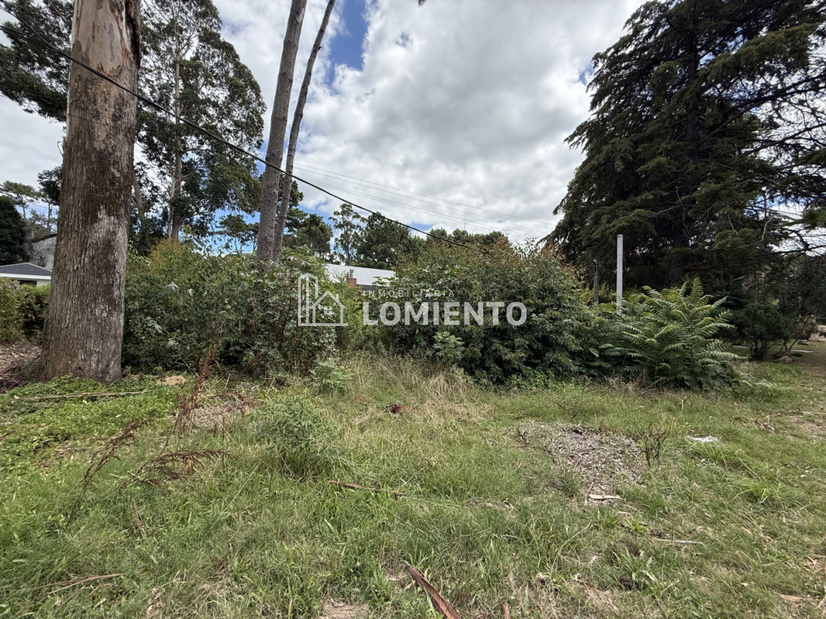 Terreno ID.1781 - Gran Oportunidad Venta Terreno en Barrio Pinares- Punta del Este 