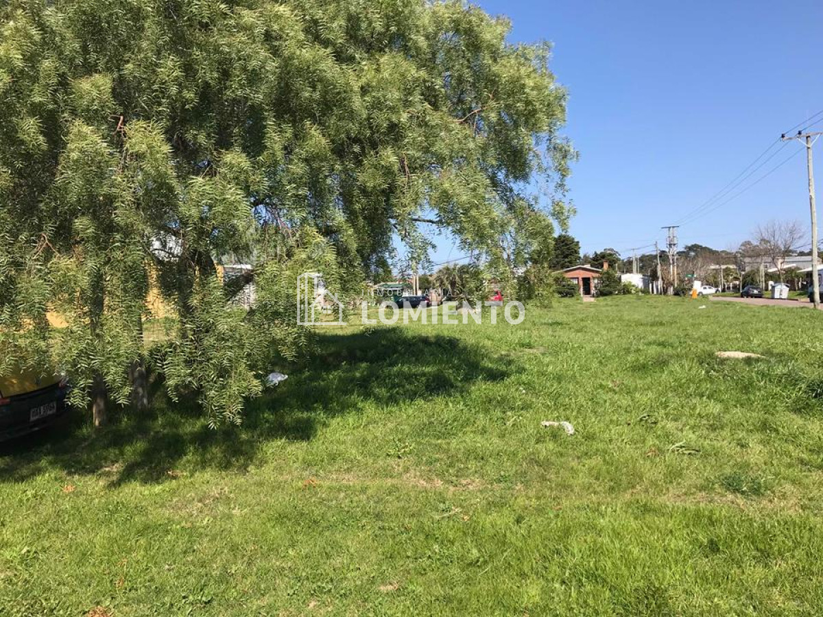 Terreno ID.591 - Gran terreno en venta proximo a Av. Lussich