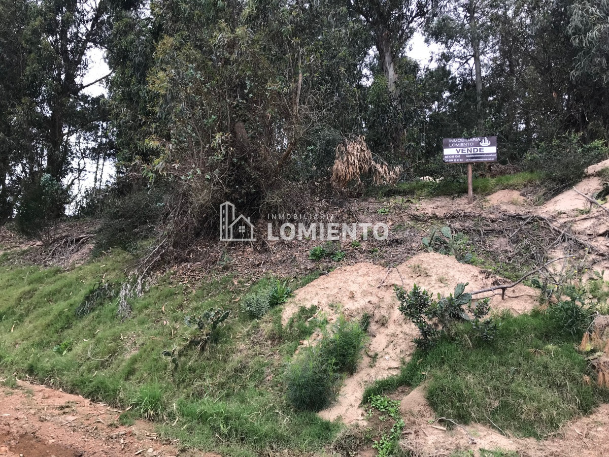 Terreno ID.781 - Venta Terreno Ocean Park