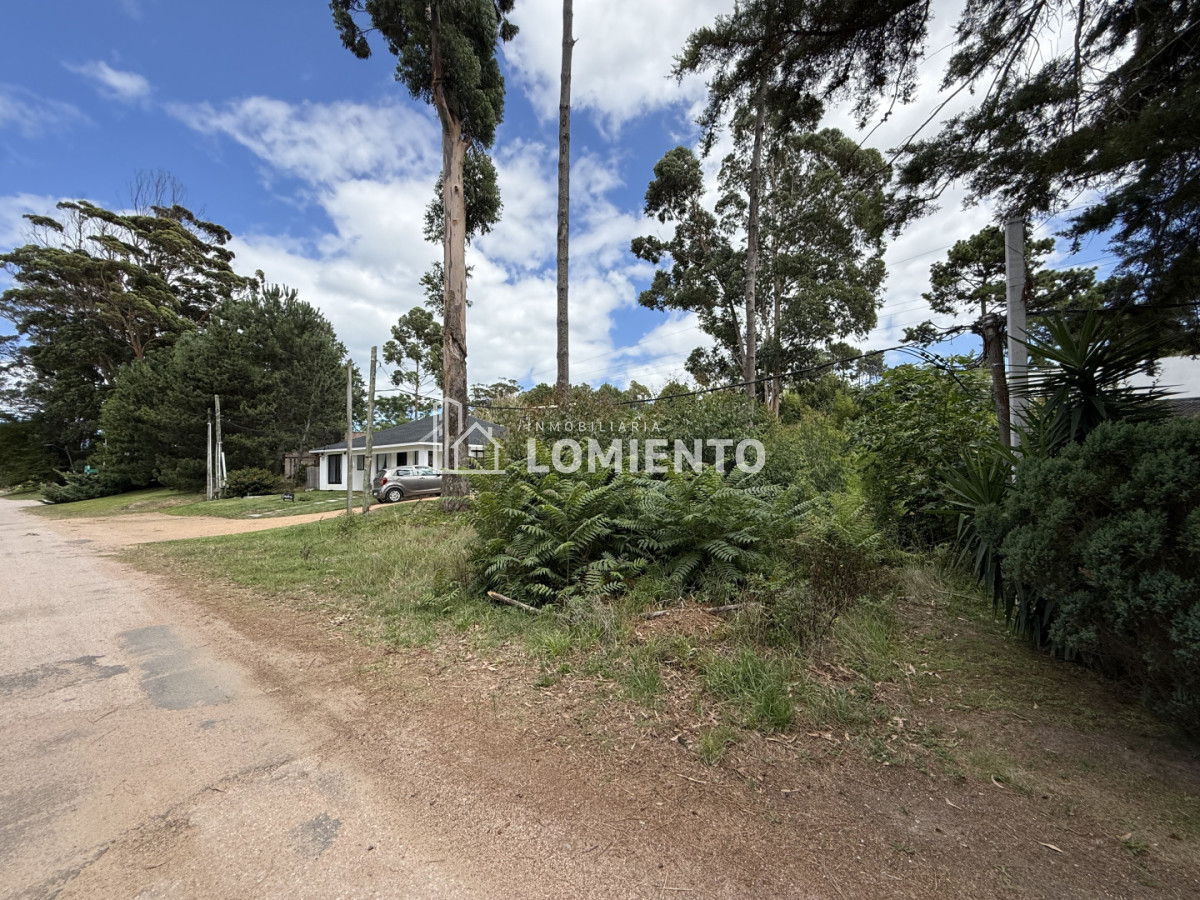 Terreno ID.1781 - Gran Oportunidad Venta Terreno en Barrio Pinares- Punta del Este 