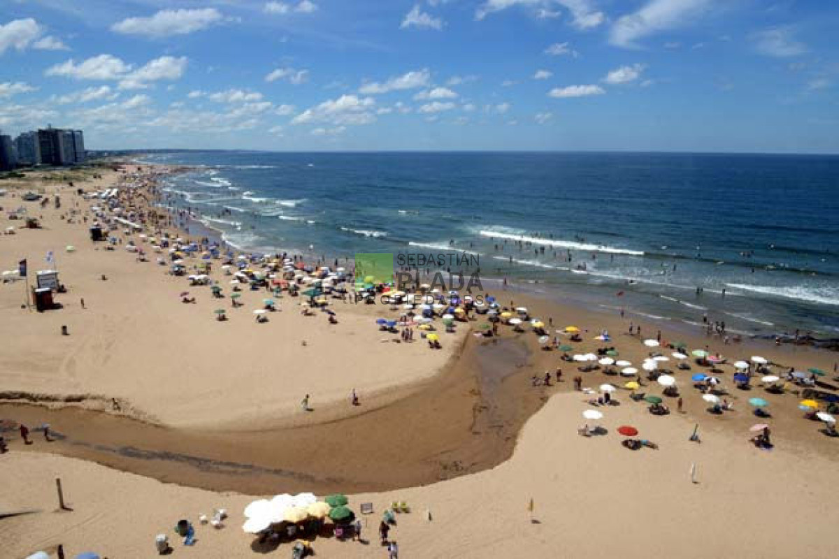 Apartamento ID.861 - Apartamento en Peninsula, 4 dormitorios  