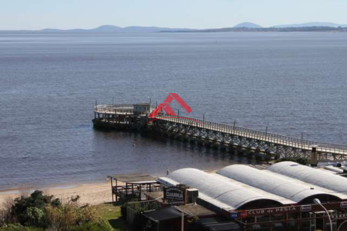 Apartamento ID.1924 - Hermoso apartamento frente al mar