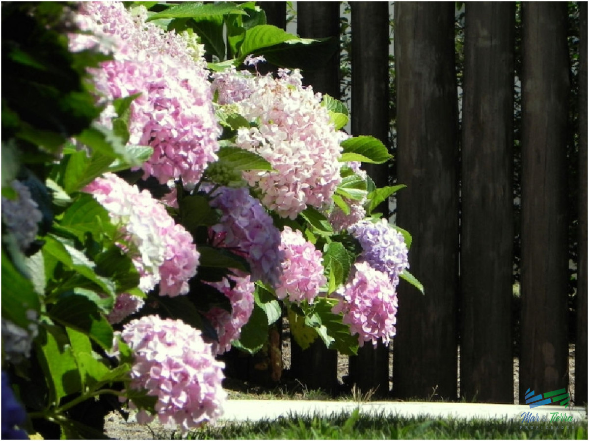 Casa ID.5236 - En venta casa 4 dormitorios con piscina, la Barra, Punta del Este