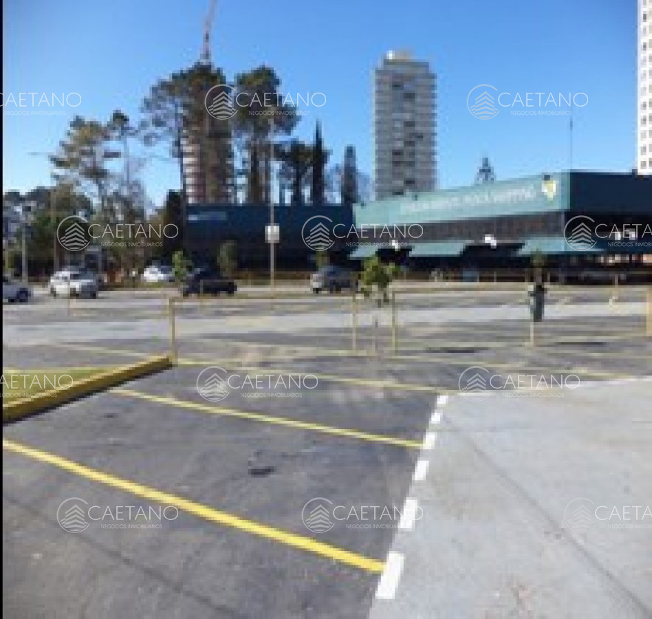 Roosevelt - GoPunta - Portal Inmobiliario de Punta del Este - Maldonado