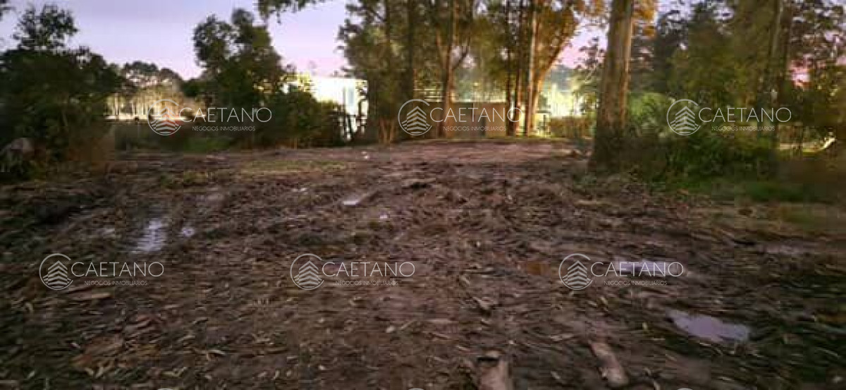 La Fortuna - GoPunta - Portal Inmobiliario de Punta del Este - Maldonado