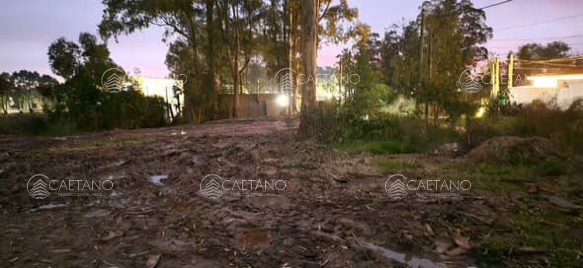 La Fortuna - GoPunta - Portal Inmobiliario de Punta del Este - Maldonado