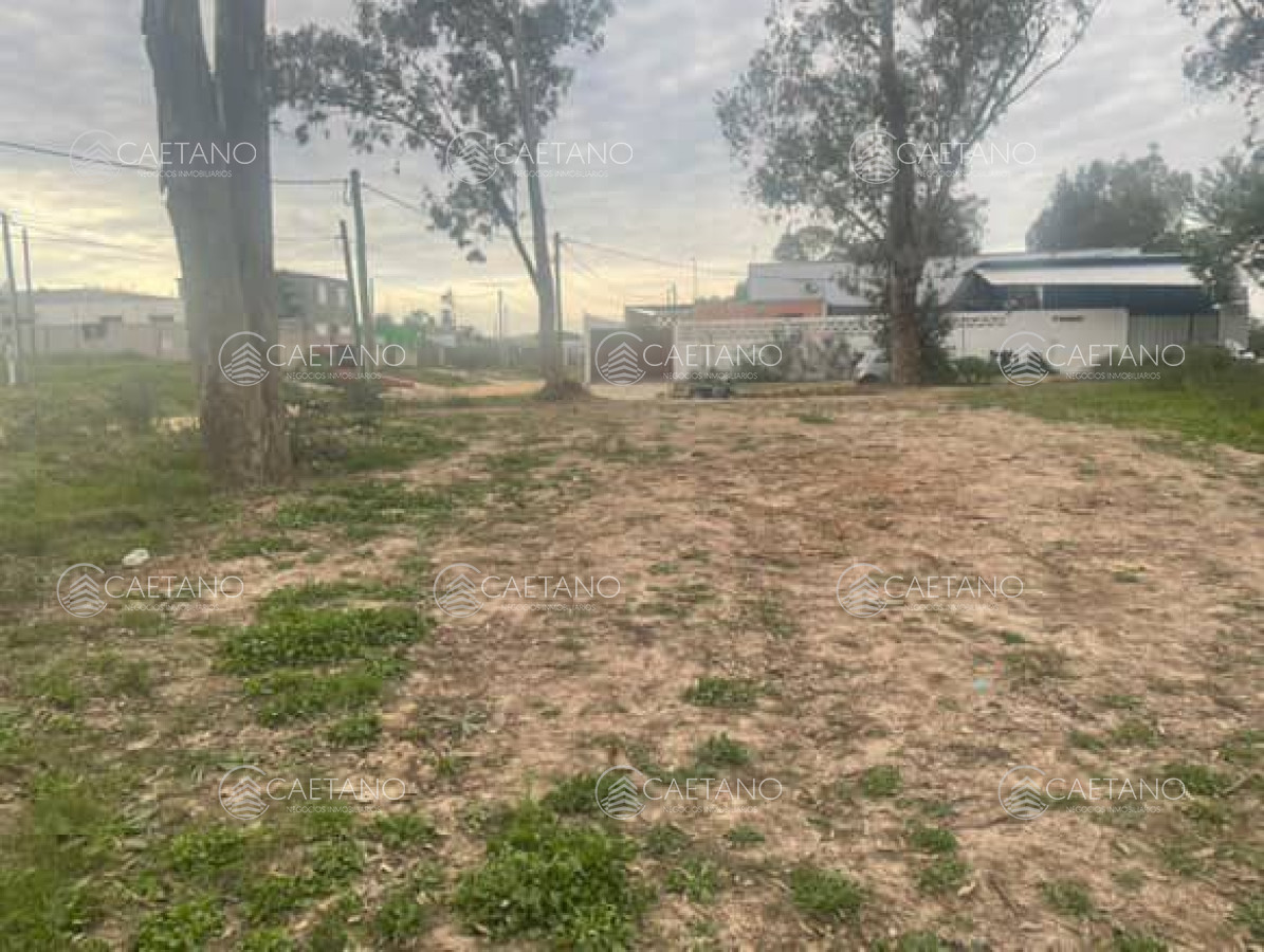 La Fortuna - GoPunta - Portal Inmobiliario de Punta del Este - Maldonado