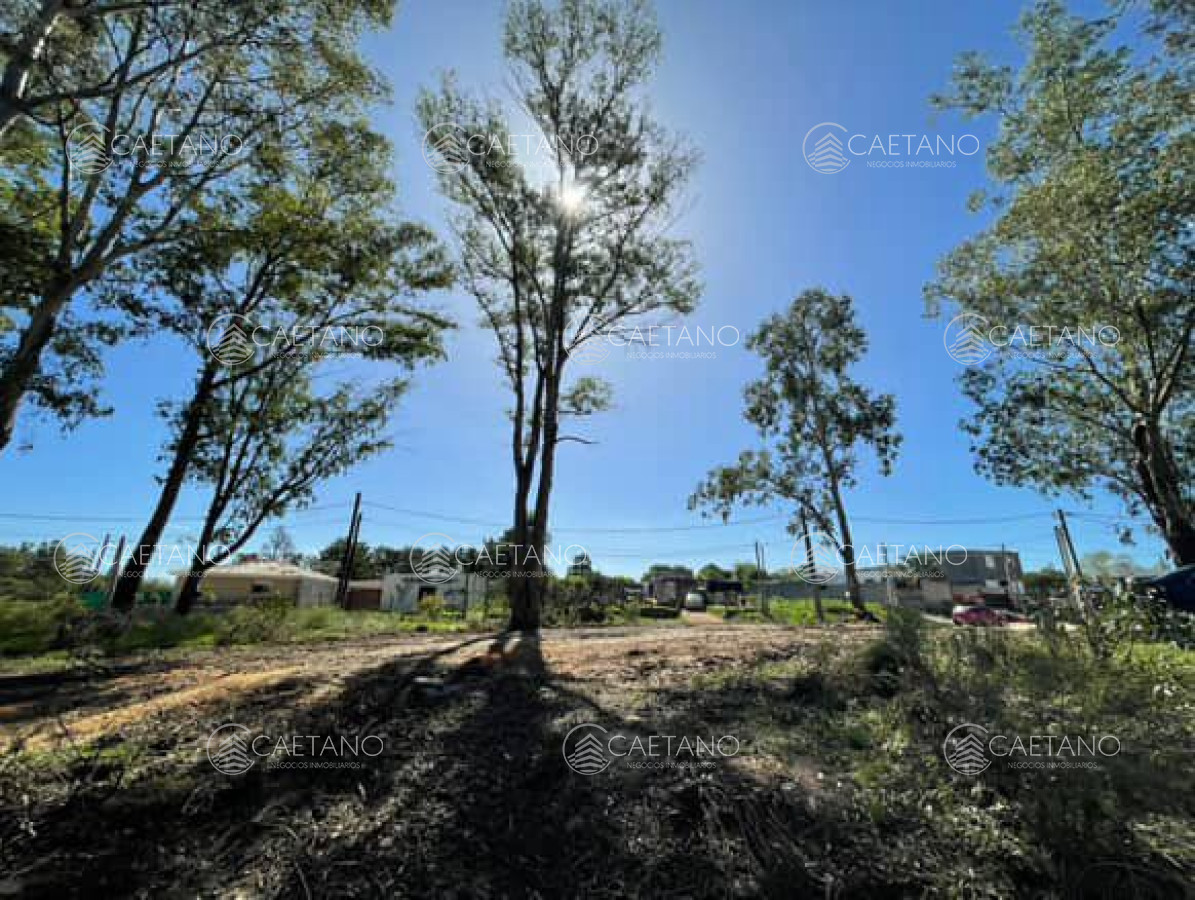 La Fortuna - GoPunta - Portal Inmobiliario de Punta del Este - Maldonado