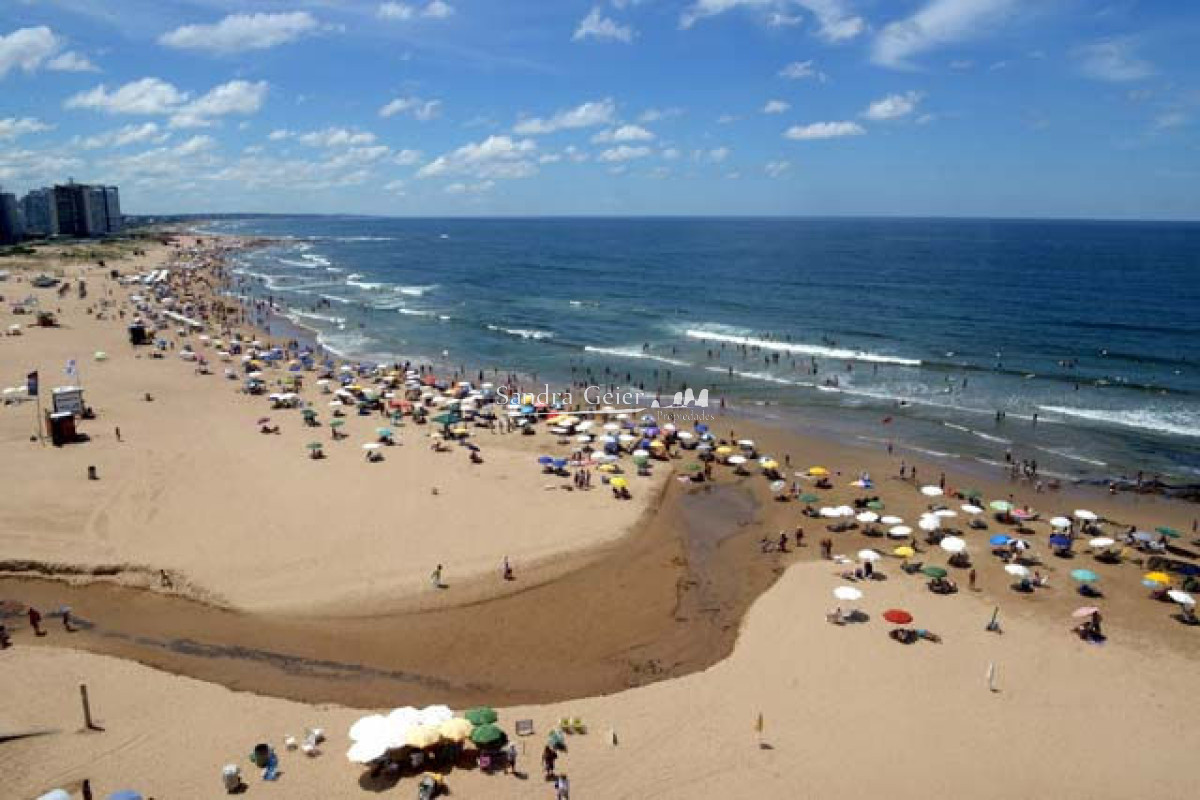 Apartamento ID.2472 - Apartamento en Peninsula, 4 dormitorios  VENTA FRENTE AL MAR