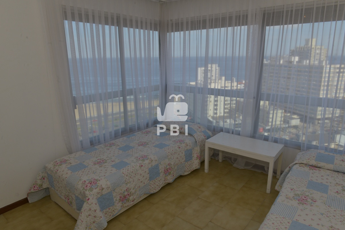 T3BvcnR1bmlkYWQgw5puaWNhICAgLSBFTCBUT1JSRU9OIC0gUmVmIDogUEJJMTQ3MjE=