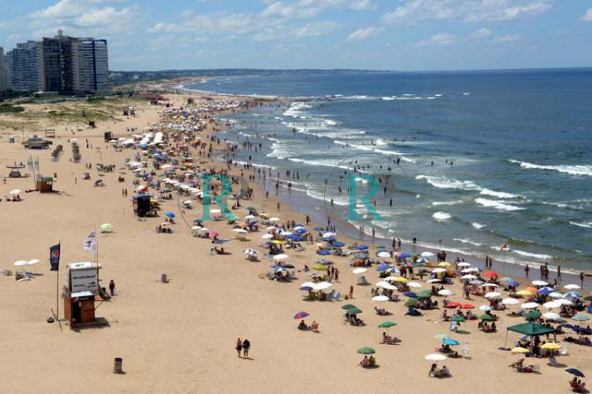 Apartamento ID.1646 - Apartamento en Peninsula, 4 dormitorios  