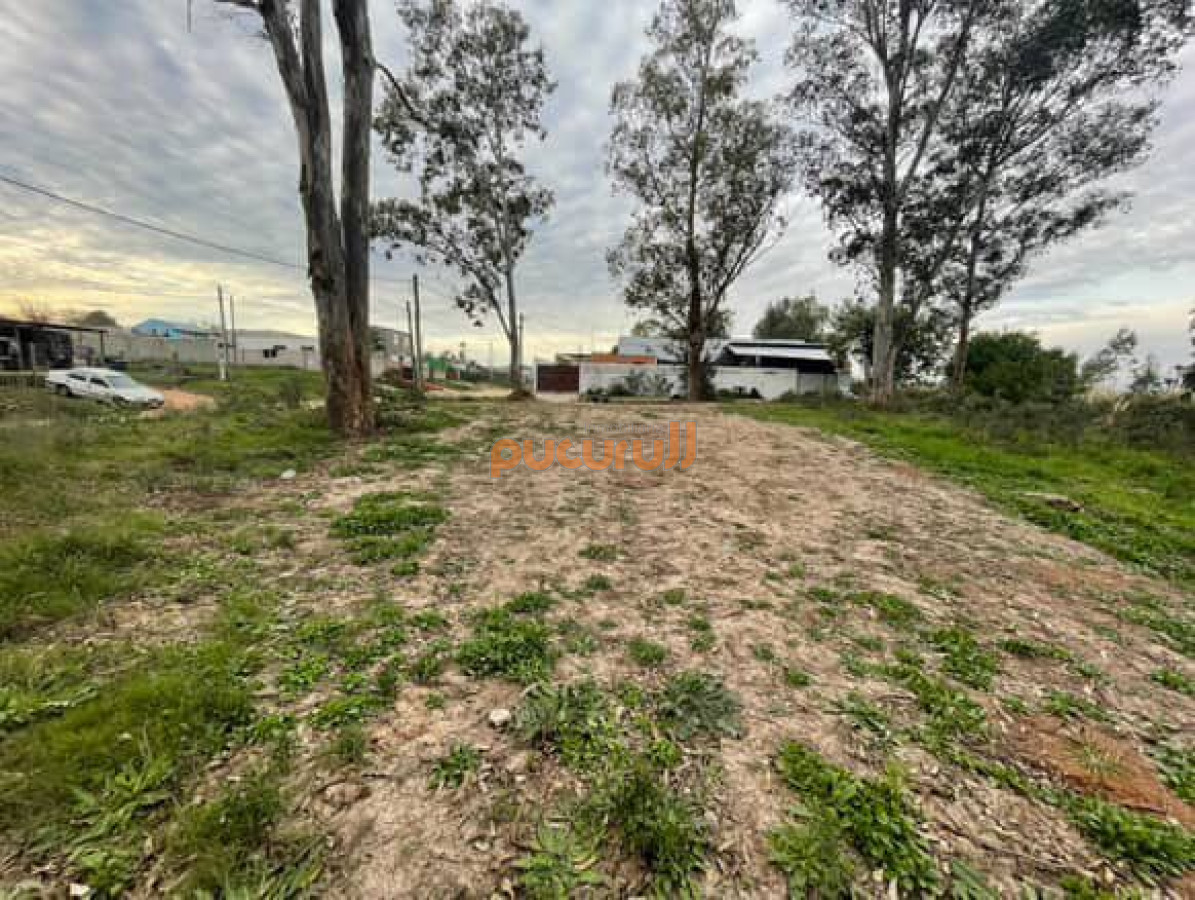 La Fortuna - GoPunta - Portal Inmobiliario de Punta del Este - Maldonado
