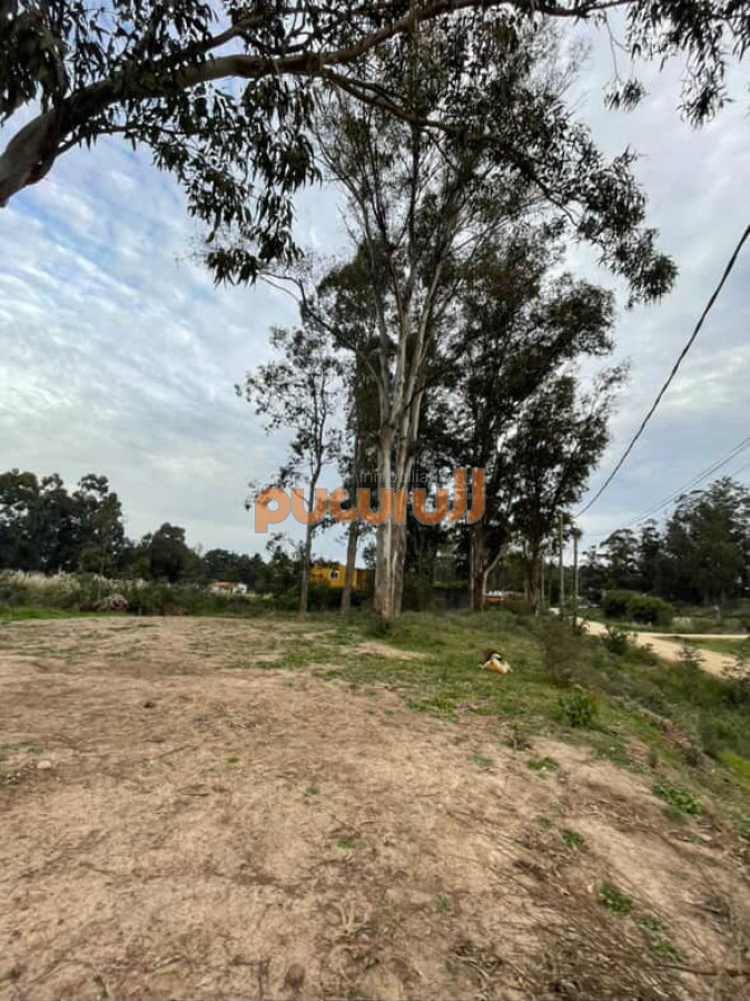 La Fortuna - GoPunta - Portal Inmobiliario de Punta del Este - Maldonado