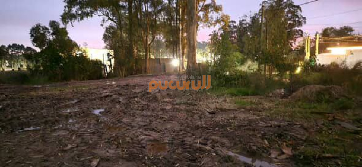 La Fortuna - GoPunta - Portal Inmobiliario de Punta del Este - Maldonado