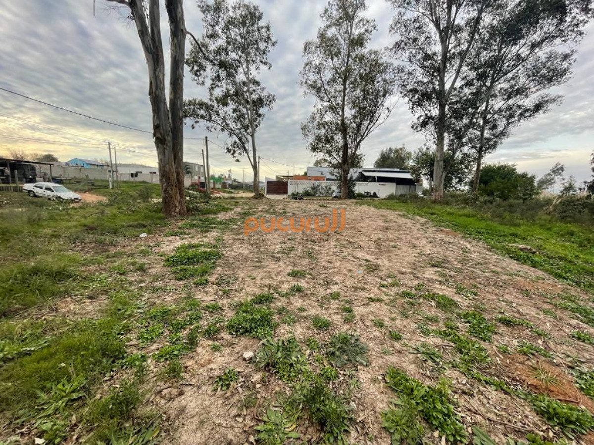 Los Aromos - GoPunta - Portal Inmobiliario de Punta del Este - Maldonado
