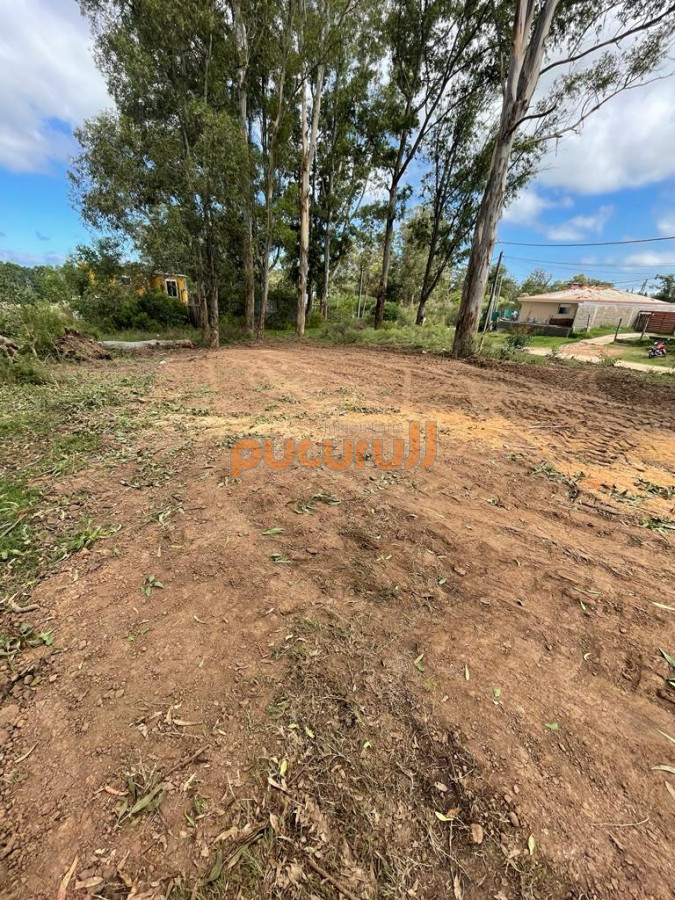 Los Aromos - GoPunta - Portal Inmobiliario de Punta del Este - Maldonado