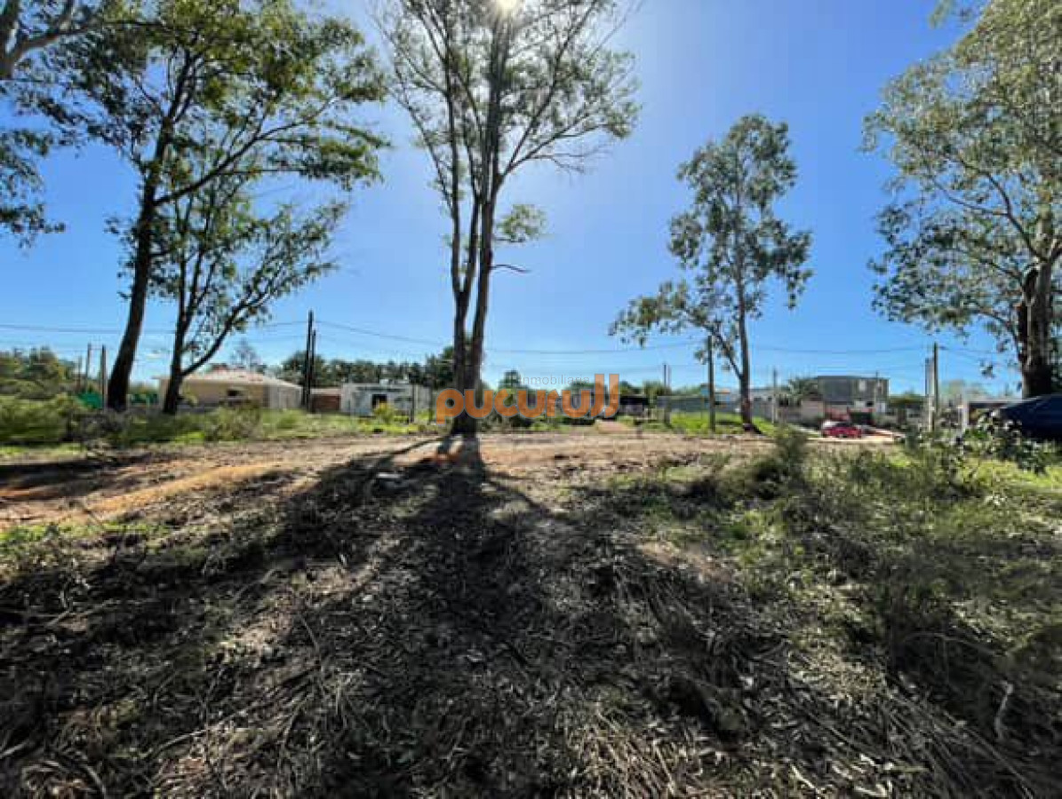 La Fortuna - GoPunta - Portal Inmobiliario de Punta del Este - Maldonado