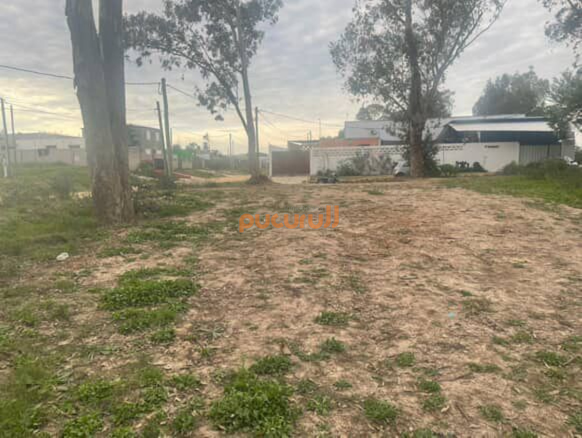 La Fortuna - GoPunta - Portal Inmobiliario de Punta del Este - Maldonado