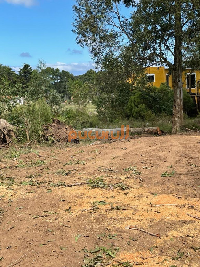 Los Aromos - GoPunta - Portal Inmobiliario de Punta del Este - Maldonado